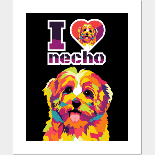 necho Posters and Art